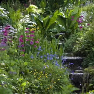 Hanggarten pflanzen und pflegen welche Blumen und Gräser