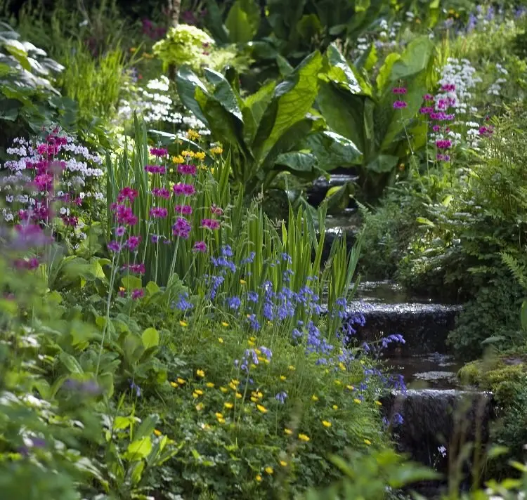Planting and caring for hillside gardens, flowers and herbs