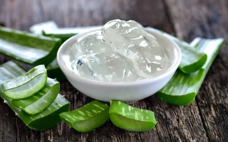 In etwa 30 Minuten können Sie ein Aloe-Vera-Gel selber machen