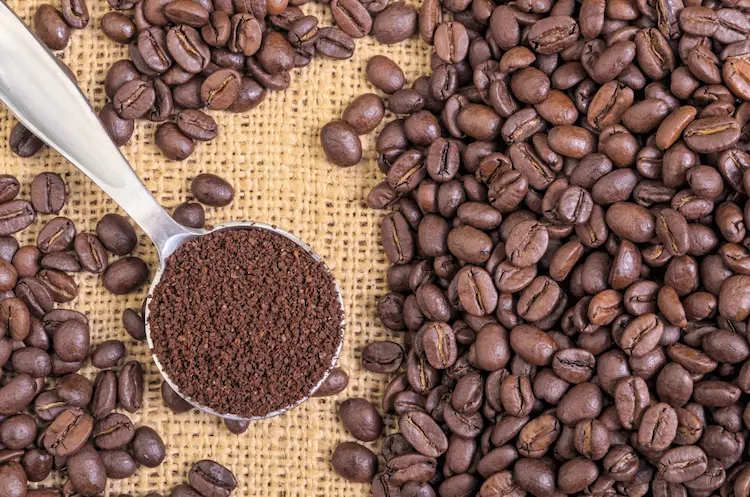 Kaffeesatz gegen Ameisen im Rasen - ein wirksames Mittel