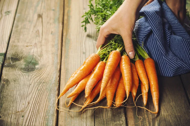 Karotten sind gesund und eignen sich gut für Sommergerichte zum Grillen
