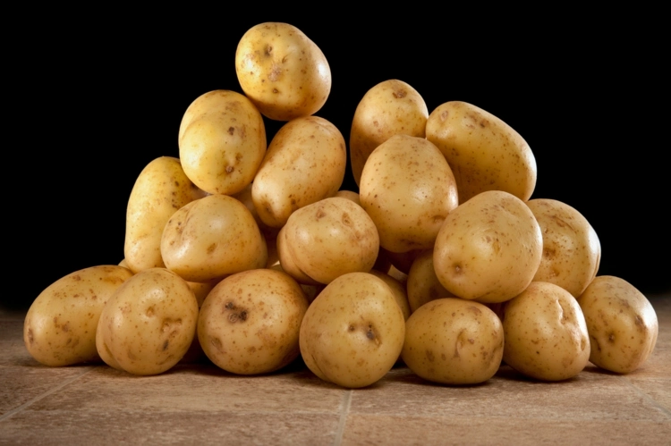 Kartoffelpflanzen sind tolerant gegenüber Trockenheit