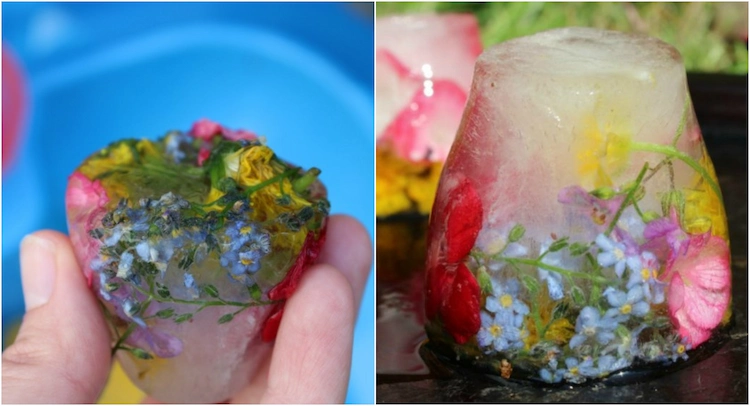Kinder können niedliche gefrorene Blumen im Sommer selber basteln