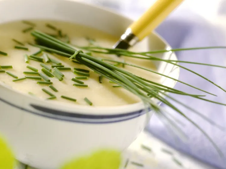 Kohlrabi Recipes A low-calorie recipe for a creamy soup for main courses