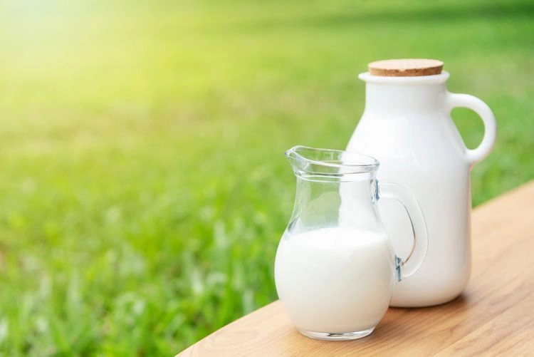 Milch hilft gegen Mehltau an Pflanzen