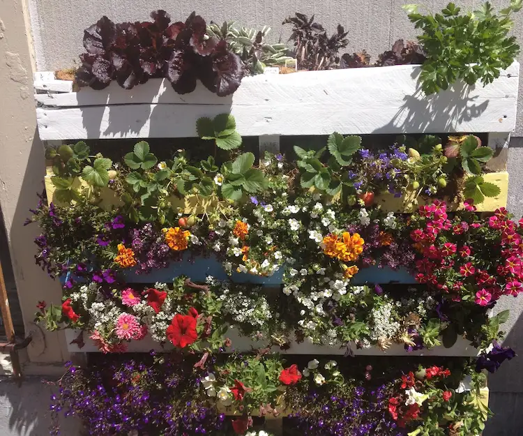 Nicht nur platzsparend, sondern auch eine dekorative Bereicherung für Ihren Balkon oder Garten