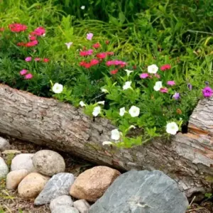 Originelle Deko Ideen für den Garten Blumenkasten aus Baumstamm selber bauen