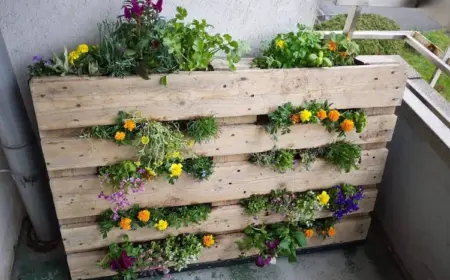 Paletten Blumenkasten bepflanzen mit Kräutern oder Blumen