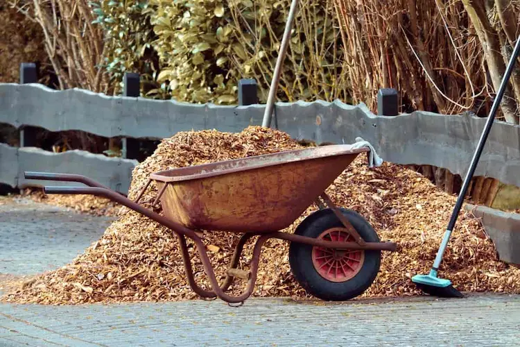 Richtig mulchen im Garten - ersetzen Sie den Mulch jedes Frühjahr