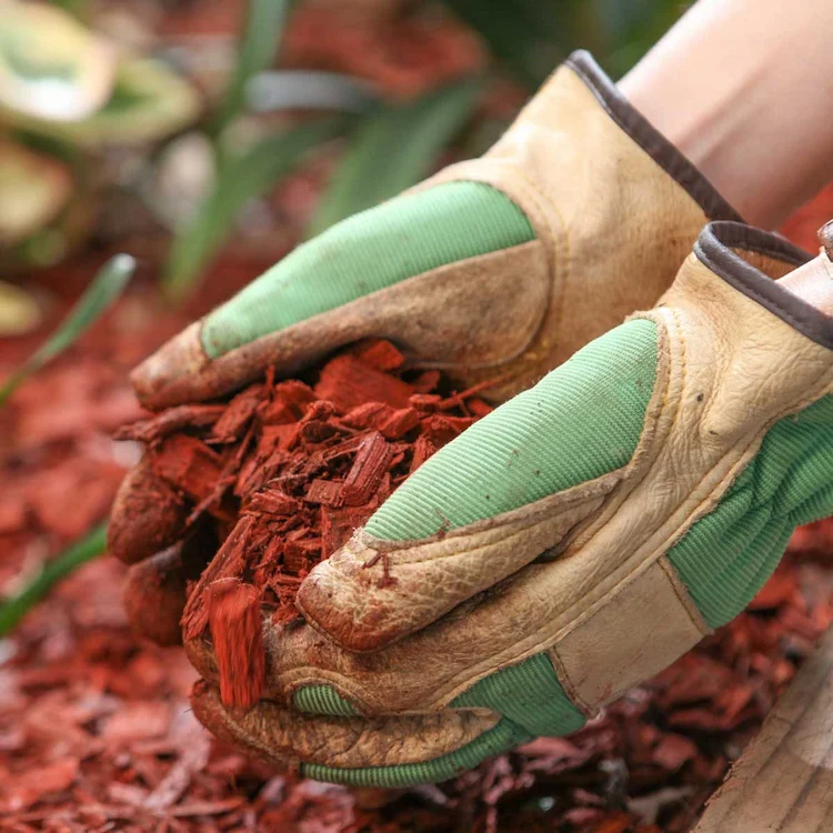 Richtig mulchen im Garten - nicht zu viel Mulch einsetzen