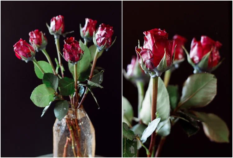 Rosen mit Wachs konservieren wie lange haltbar machen
