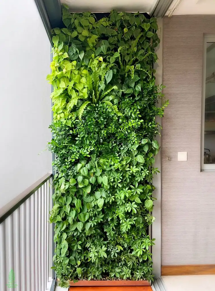 Schmale Balkon-Wand bepflanzen mit grünen Pflanzen