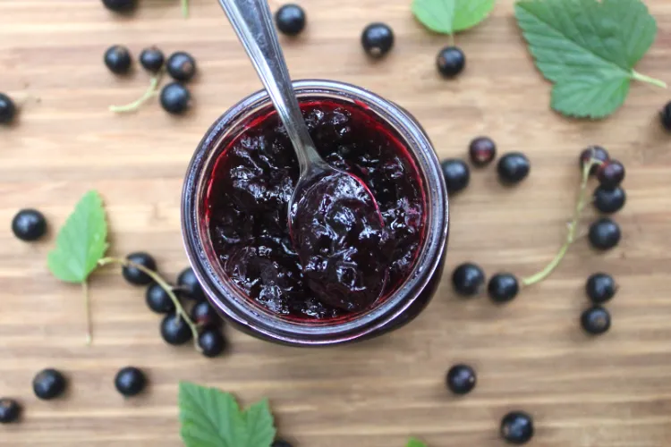 Blackcurrant jam recipe currant jelly easily