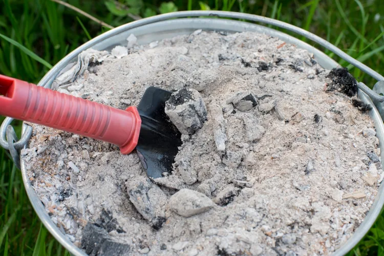 Make your own tomato fertilizer in the garden of wood ash 
