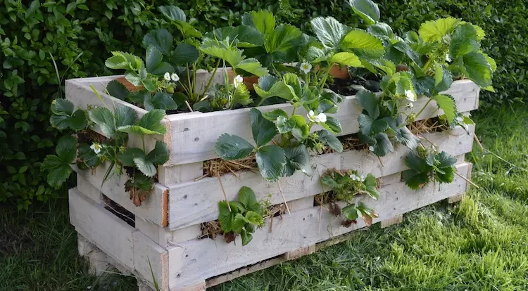 So können Sie einen niedlichen Mini-Garten selber gestalten
