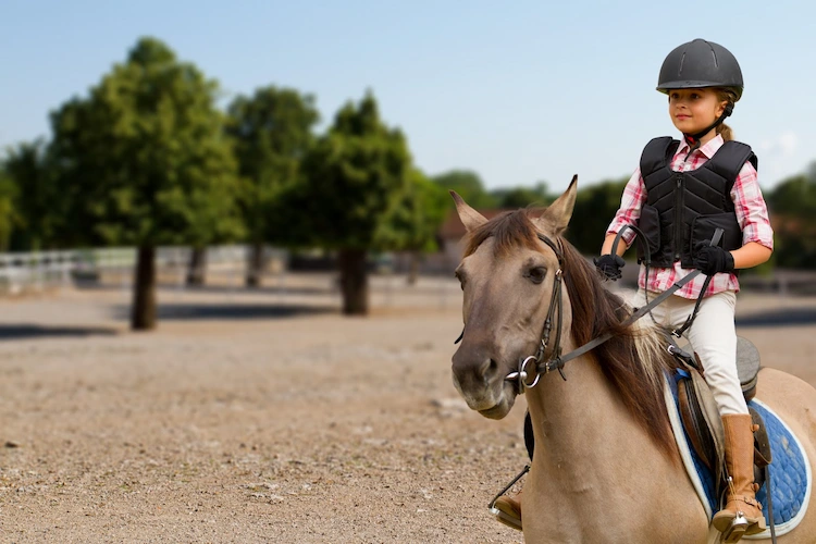 Summer holidays in the saddle for children near Stuttgart - a real adventure