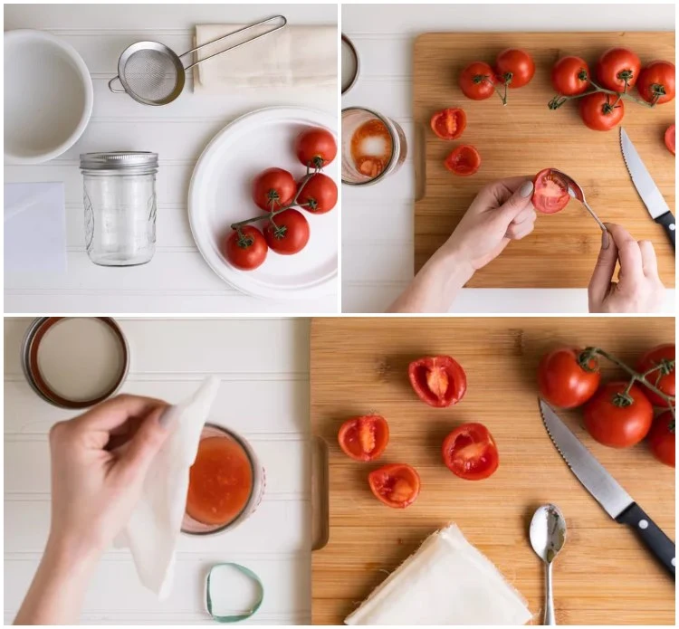 Tomaten ernten und über Samen vermehren Anleitung