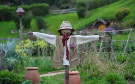 Vögel fernhalten - Bauen Sie Vogelscheuchen