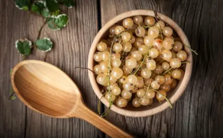 Weiße Johannisbeeren verarbeiten - Einfache Rezepte für Marmelade und Getränke