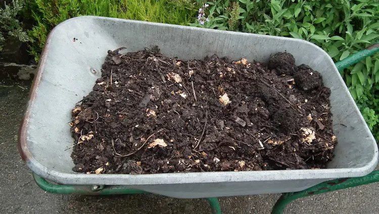 How to make liquid manure from manure at home