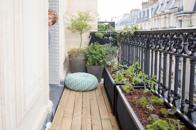 auf einem balkon in der stadt angelegter balkongarten mit blumenkästen für anbau von tomaten im sommer