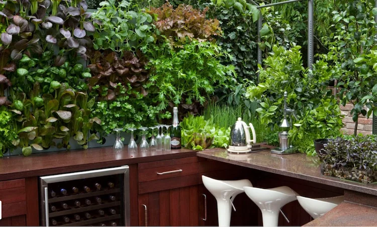 lebendige wand aus pflanzen als küchengarten im außenbereich gestalten und schöne kulisse für bar schaffen