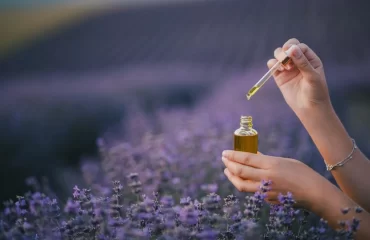 natürlicher extrakt aus den blüten des lavendels für ätherisches lavendelöl in tropfen