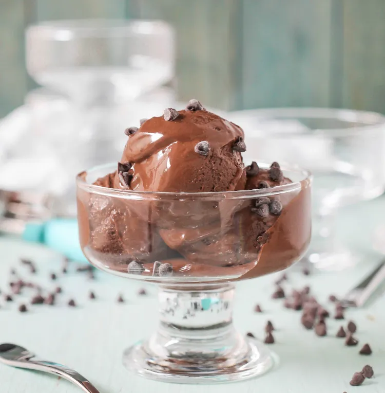 vegan snacks low calorie protein chocolate ice cream recipe