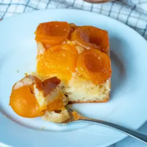 Aprikosenkuchen vom Blech selber zubereiten -einfache fruchtige Rezepte für einen erfrischenden Sommergenuss