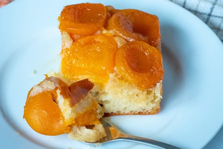 Aprikosenkuchen vom Blech selber zubereiten -einfache fruchtige Rezepte für einen erfrischenden Sommergenuss