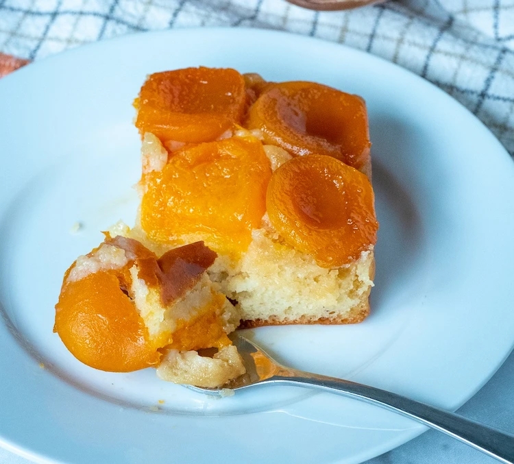 Aprikosenkuchen vom Blech selber zubereiten -einfache fruchtige Rezepte für einen erfrischenden Sommergenuss