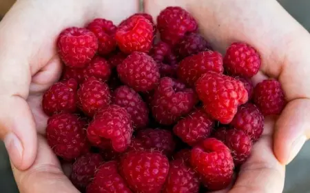 Befolgen Sie unsere Tipps für die Lagerung der Beeren