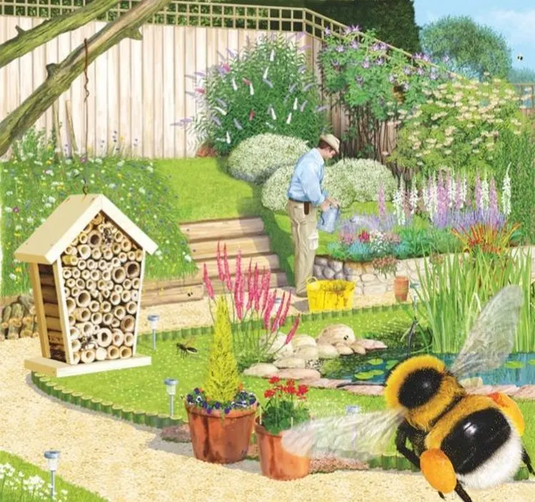 Bienenfreundlichen Garten gestalten - Tipps und Bilder