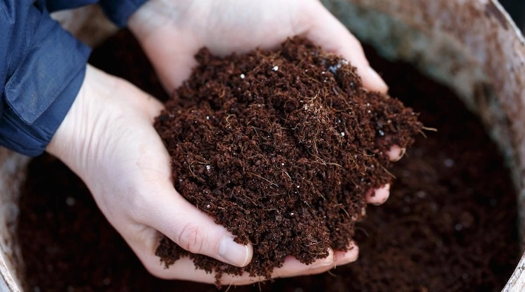 Die Verwendung von organischem, stickstoffreichem Langzeitdünger macht Ihren Rasen für Klee weniger anfällig
