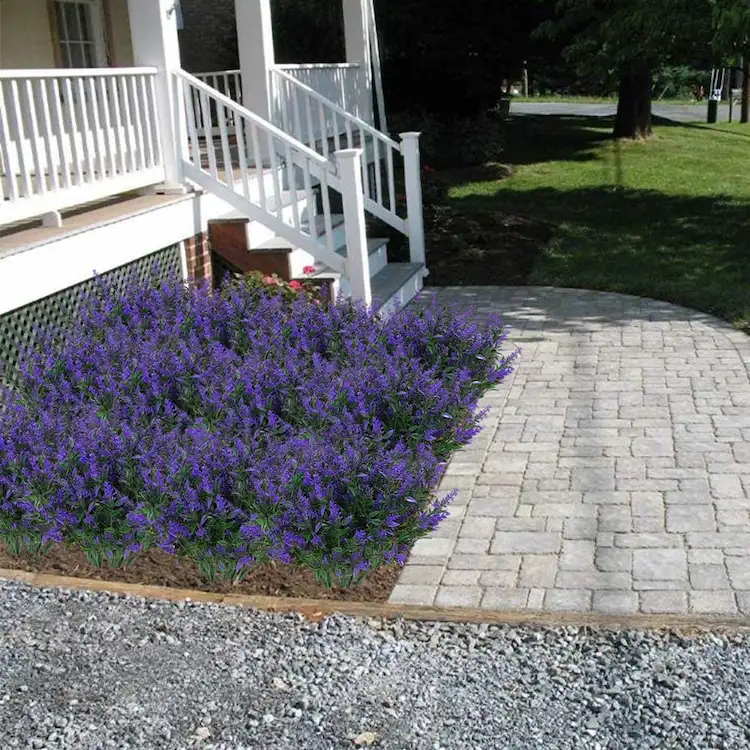 Fliegen im Haus bekämpfen - pflanzen Sie Lavendel rund um das Haus