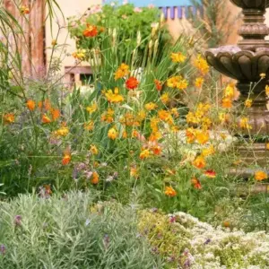 Garten im Sommer hitzetolerante Pflanzen wählen (1)