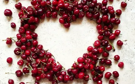 Kirschbaum aus dem Kern ziehen - Schritt für Schritt einen Setzling erhalten