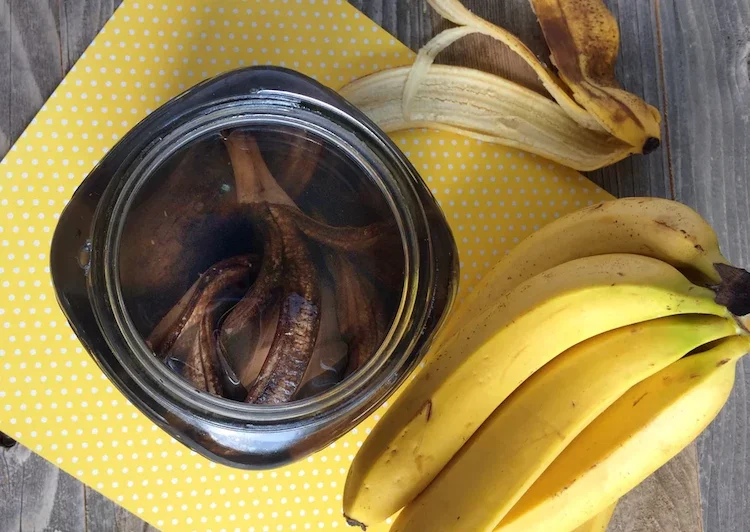 Man kann Zimmerpflanzen-Dünger selber machen aus Bananenschalen