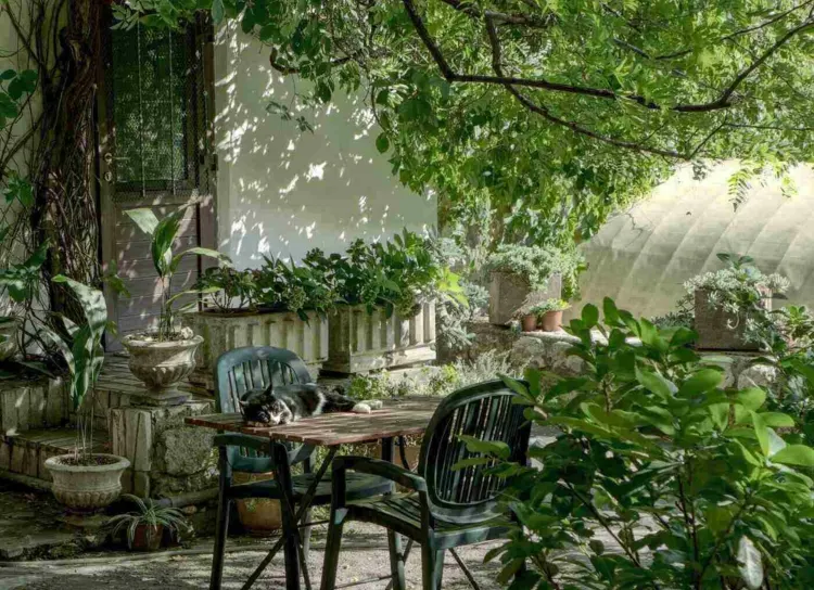 Mediterrane Sitzecke im Garten gestalten mit schattenspendenden Pflanzen und Bäumen