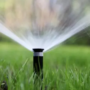 Rasen bewässern - Wie stellen Sie fest, ob Sie ausreichend bewässert haben