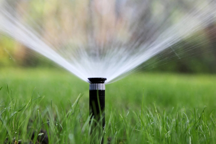 Rasen bewässern - Wie stellen Sie fest, ob Sie ausreichend bewässert haben
