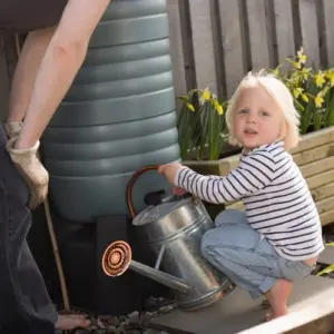 Regentonne kaufen, um Wasser im Garten zu sparen