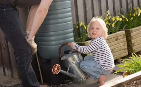 Regentonne kaufen, um Wasser im Garten zu sparen