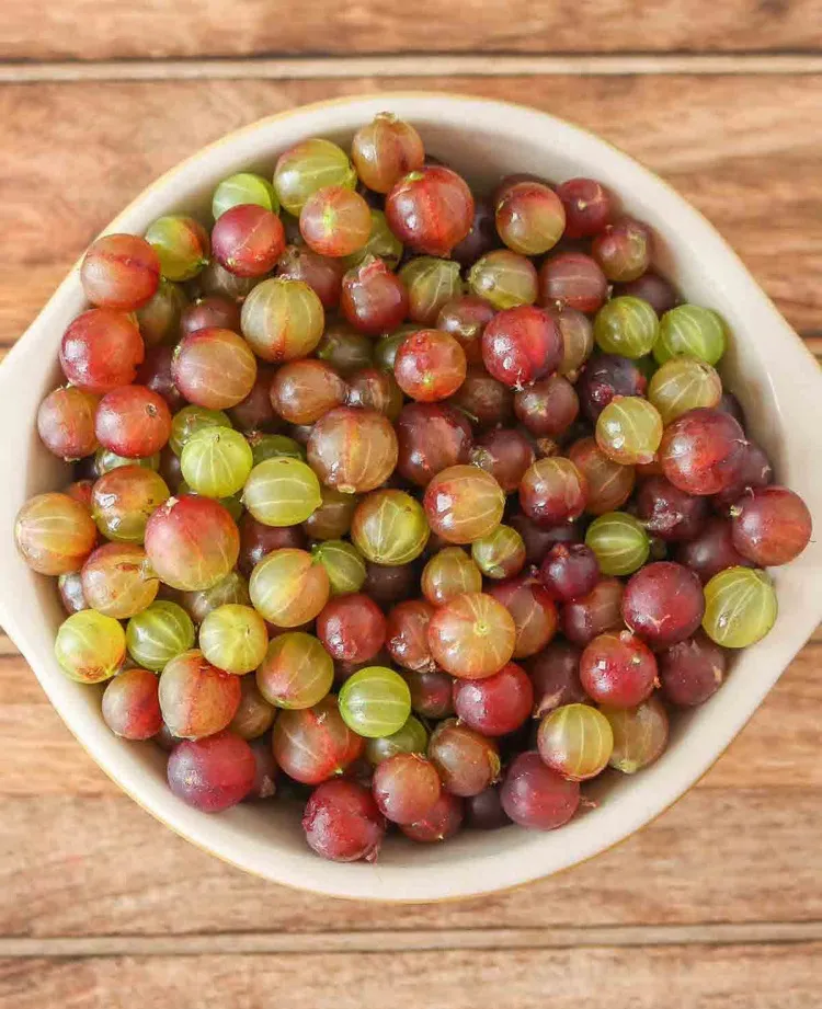 Reife Stachelbeeren für Dessert Rezepte verwenden