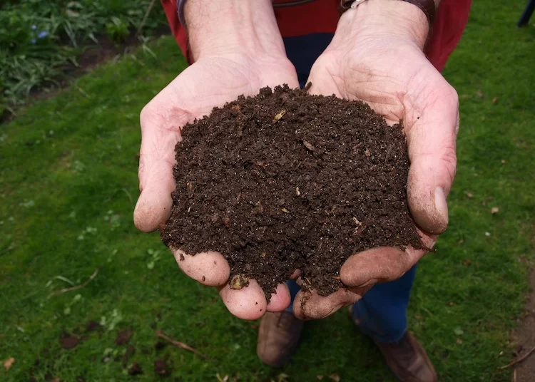 Selbstgemachter Gartenkompost wird als Bodenzusatz verwendet