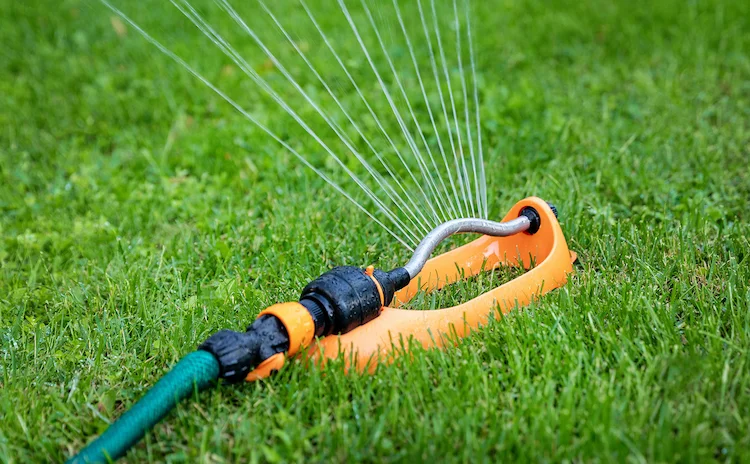 Sie müssen Ihren Rasen richtig bewässern, damit er nicht vertrocknet