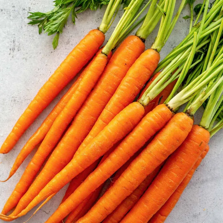 Was im Juli pflanzen - Karotten eignen sich gut für die Sommeraussaat