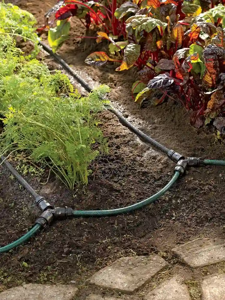 Wasser im Garten sparen mit Perlschlauch