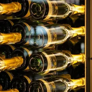 Wein und Champagne richtig lagern zu Hause im Weinkühlschrank