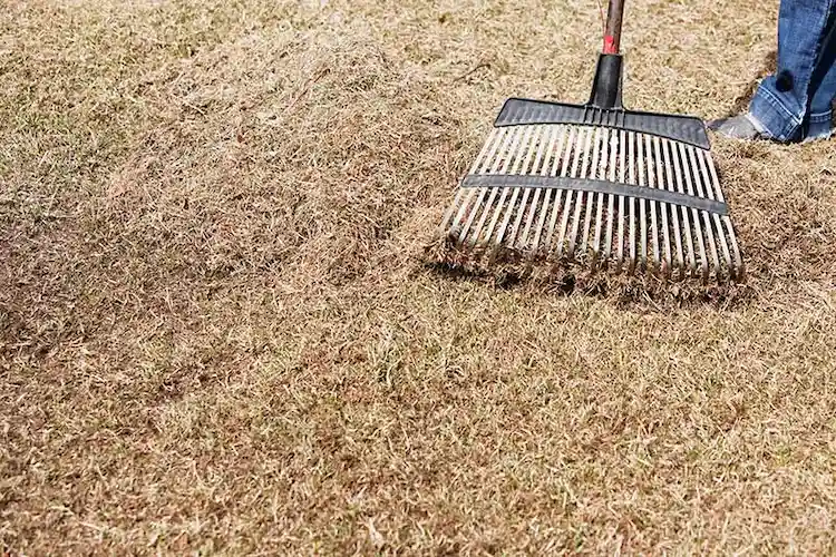 Wenn Ihr Rasen vertrocknet, braucht er gründliche Belüftung